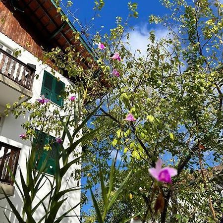 Refugio Na Serra Condominio Em Olaria, Nova Friburgo-Rj 外观 照片