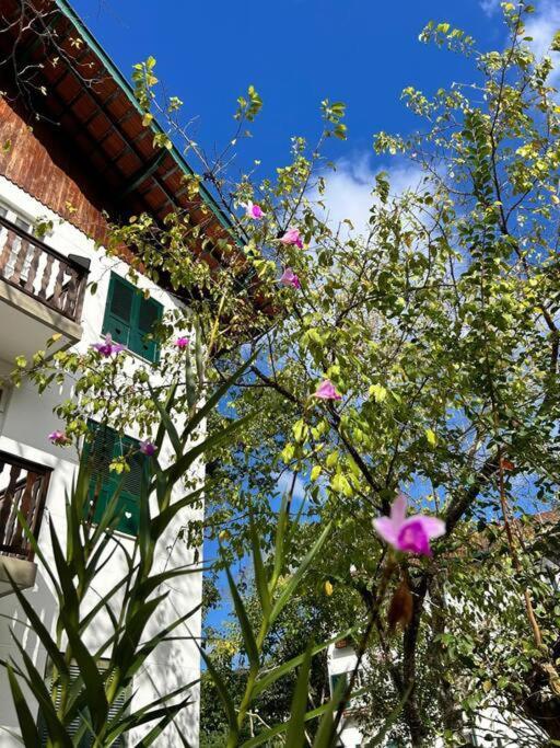 Refugio Na Serra Condominio Em Olaria, Nova Friburgo-Rj 外观 照片