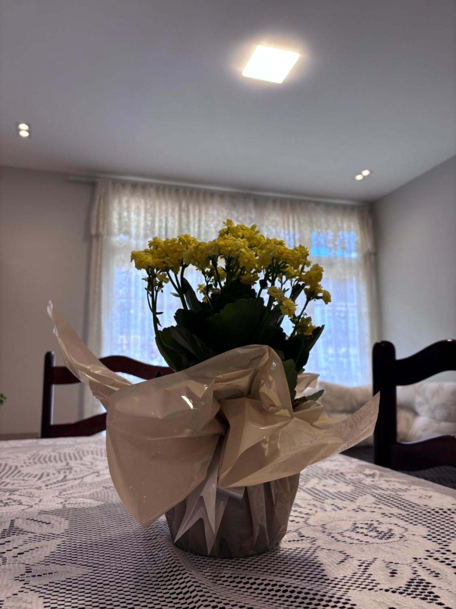 Refugio Na Serra Condominio Em Olaria, Nova Friburgo-Rj 外观 照片
